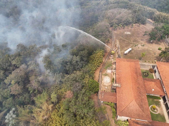 A natureza te olha nos olhos e pede socorro. Incêndios causam perdas irreparáveis, devastando a biodiversidade e colocando vidas em risco.
